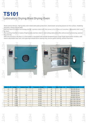 2kw 220V Small Electric Constant Temperature Drying Oven